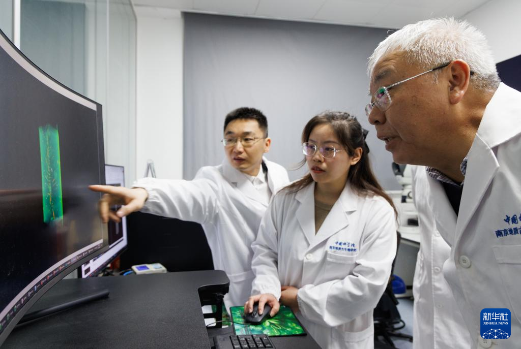 1月22日,在中国科学院南京地质古生物研究所显微CT实验室,中国科学院院士、研究员朱茂炎(右一),副研究员曾晗(左一)和同事观察扫描出来的化石图。