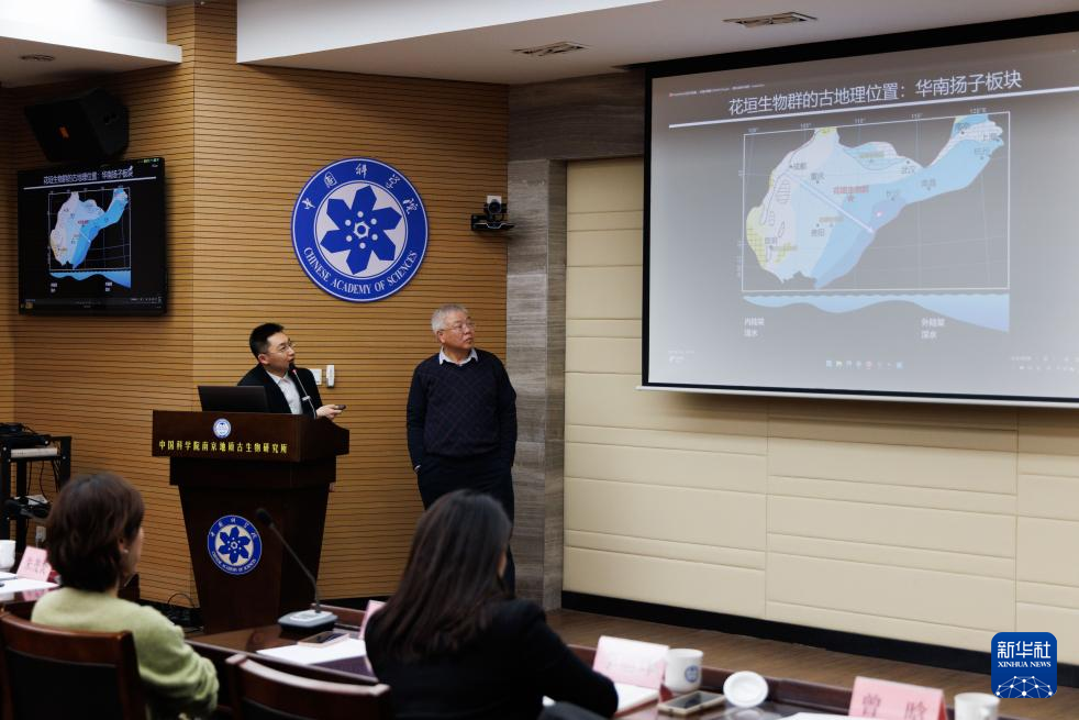 1月22日,在中国科学院南京地质古生物研究所举行的发布会上,中国科学院院士、研究员朱茂炎(右)和副研究员曾晗就花垣生物群的发现回答媒体提问。