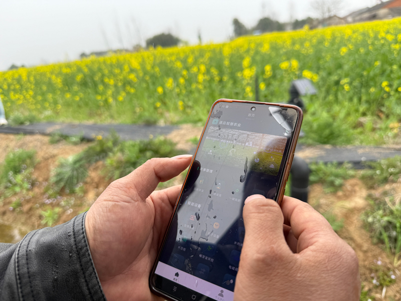 村民展示智慧水利系统。人民网记者 欧阳易佳摄 村民展示智慧水利系统。人民网记者 欧阳易佳摄